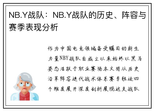 NB.Y战队：NB.Y战队的历史、阵容与赛季表现分析