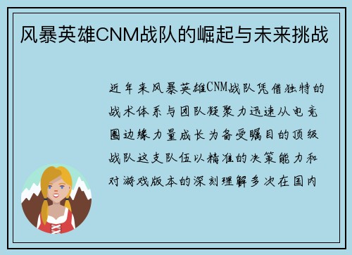 风暴英雄CNM战队的崛起与未来挑战